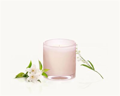 Alixx Jasmin de la Nuit Candle