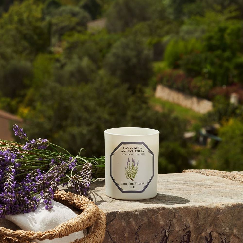Carrière Frères Lavender Candle