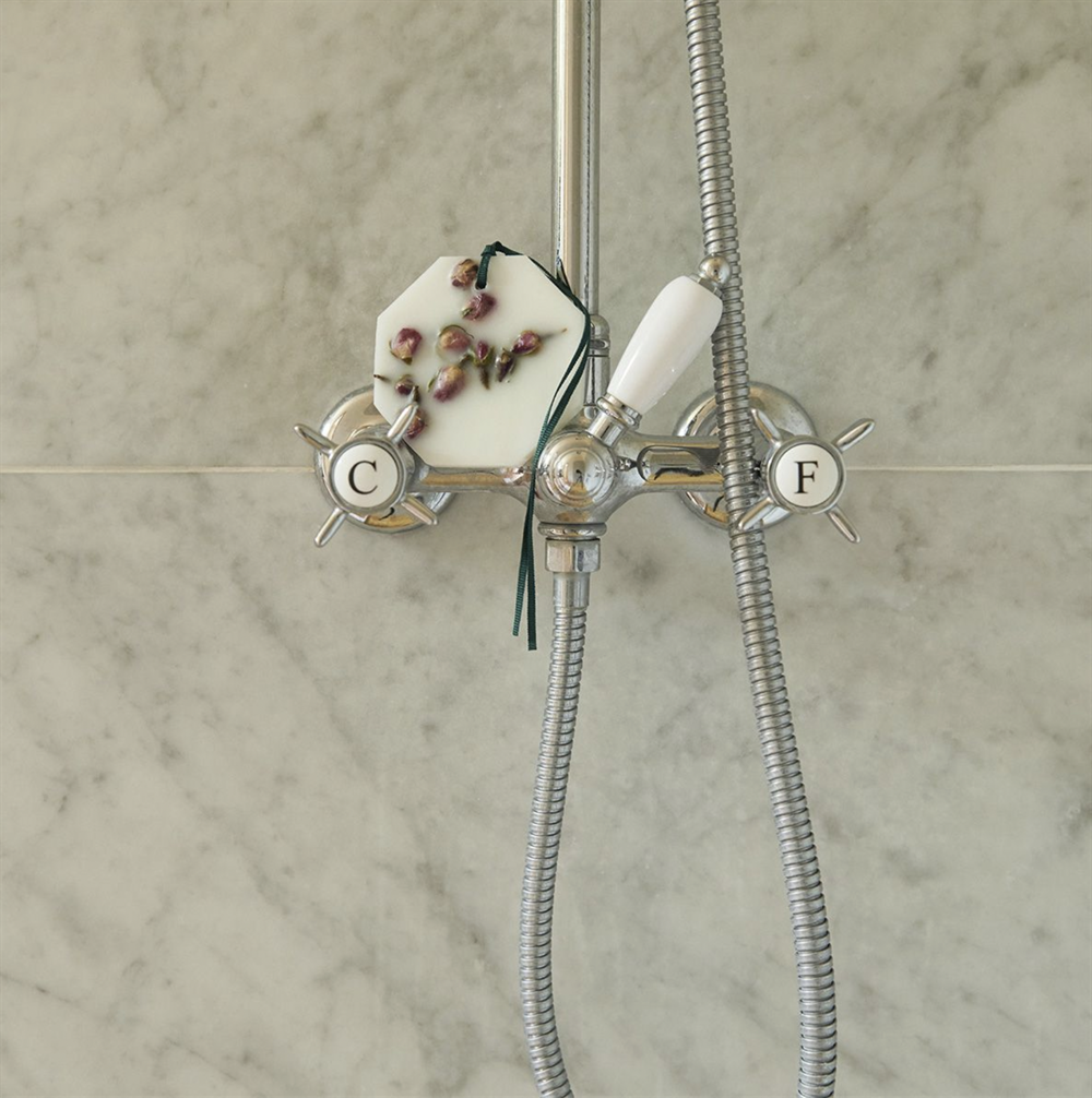 Carrière Frères Rose Botanical Palet 